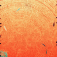 Cosmic Rays #12 - Image 2