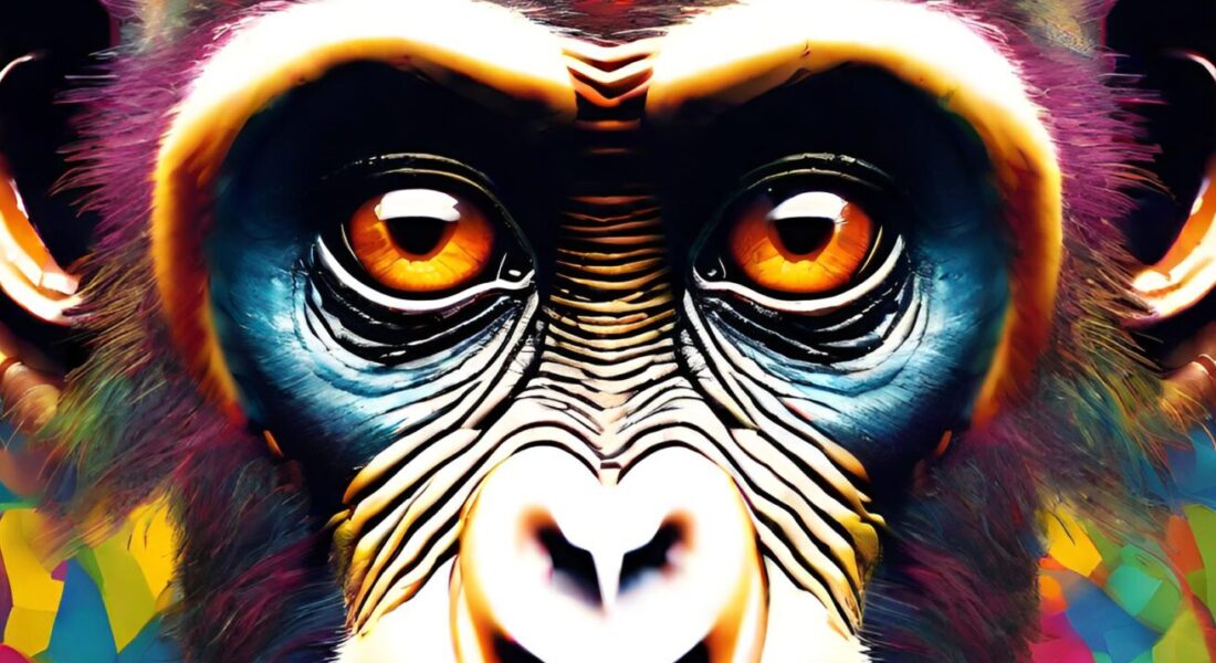Crypto Monkey 26